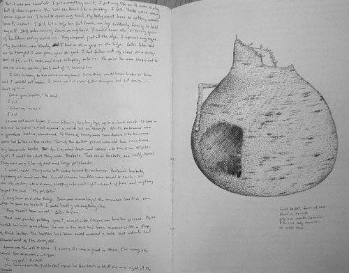 Mogollon Rim Journal