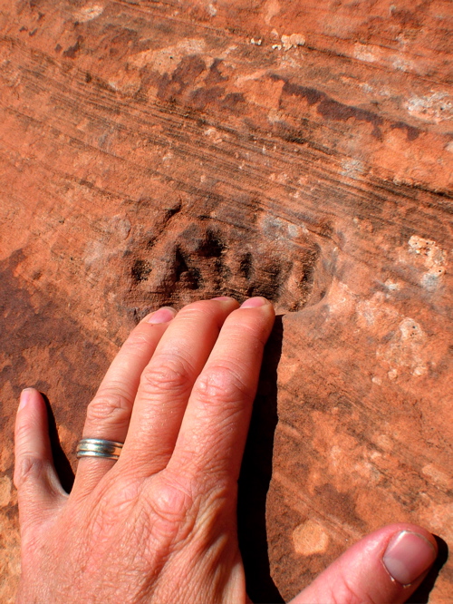 Toehold