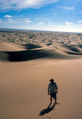 In the dunes of the Gran Desierto