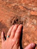 Toehold